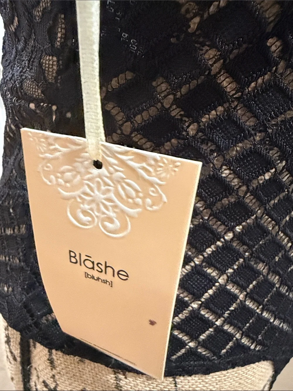 Black Lace Sheer Chemise Bodysuit